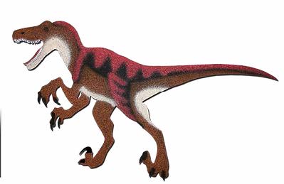 Raptor Small Pink DN2 P